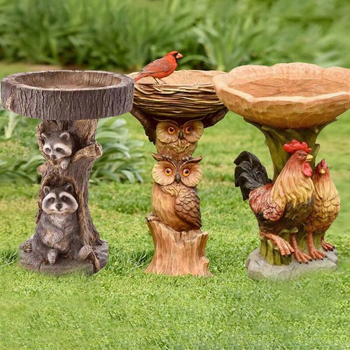 Bird bath feeder - bath,