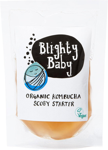 Organic kombucha scoby - kombucha,