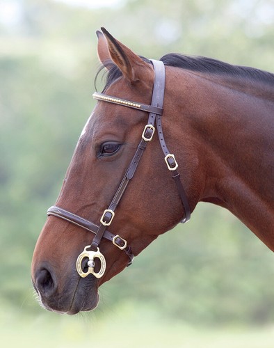 Shires blenheim clincher - shires,