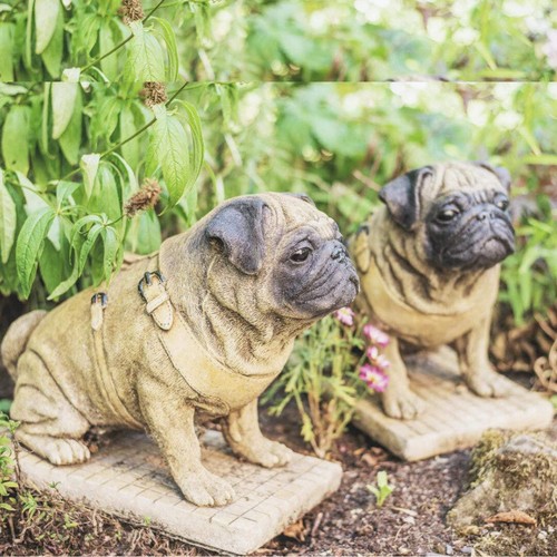 Lifesize pair sitting pug - sitting, dog