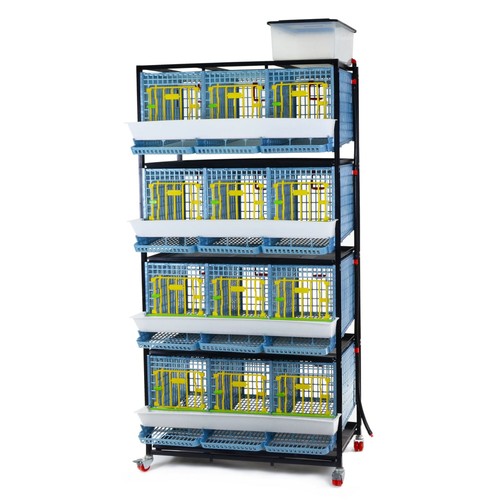 Partridge cage 4 - partridge,