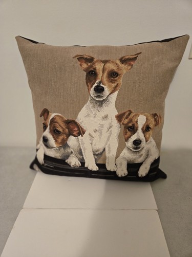 Jack russell terriers dog trio - russell,
