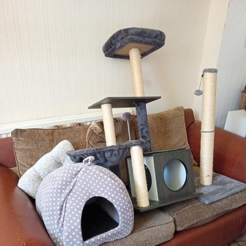 Pets cat tower with - with, scratch