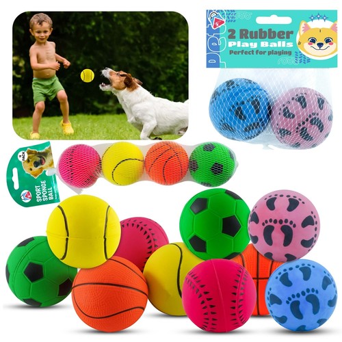Dog pet training - pet,