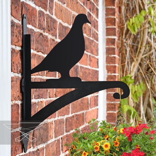 New pigeon hanging basket - pigeon,