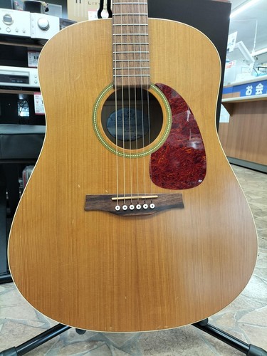 Seagull acoustic guitar - seagull, s6