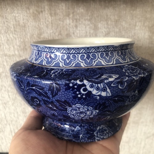 Shelley blue chamber pot - , 17cm