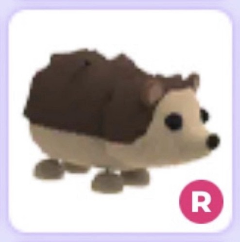 Ride hedgehog adopt - ride, ❤️