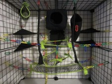 15 pc - Cube Neon Green Mesh