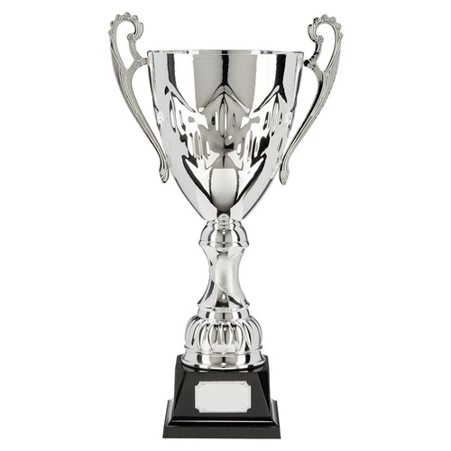Large silver trophy - silver,