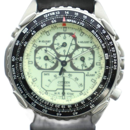 Junk citizen promaster wingman - citizen,