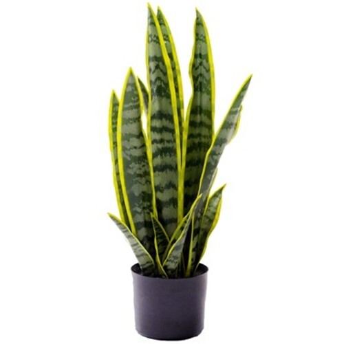 Artificial sansevieria snake - sansevieria,