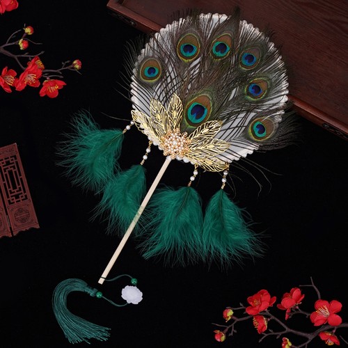 Peacock feather fan - feather, round