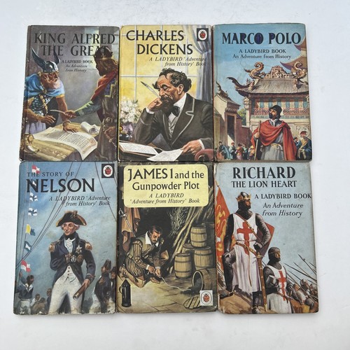 Job lot rare - rare, ladybird