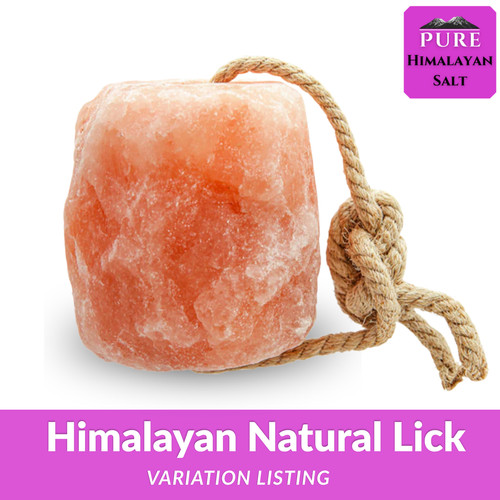 Himalayan salt lick for - himalayan,