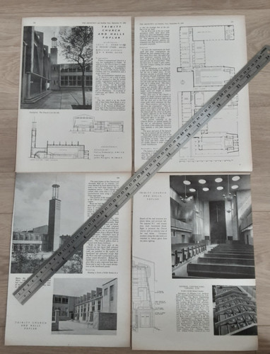 1951 press cutting poplar - cutting,