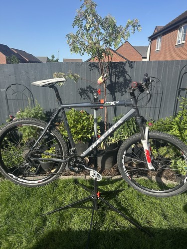 Customised ridgeback based