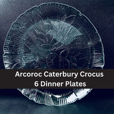 6 Arcoroc Crocus Canterbury Clear Glass DINNER Plates 10 5/8" Plate Set of 6 Vtg