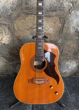 Vintage Eko Electra 12-String