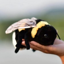 Bumblebee Bee Insect 7 Inch