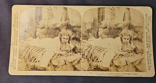 Stereoview stereoscope card - stereoview,
