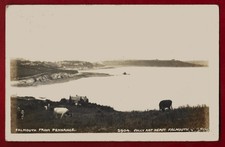 RP Falmouth From Pennance 1920 postmark Sully real photo cows postcard Cornwall
