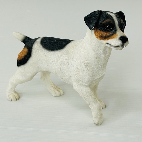 Leonardo jack russell terrier - leonardo,