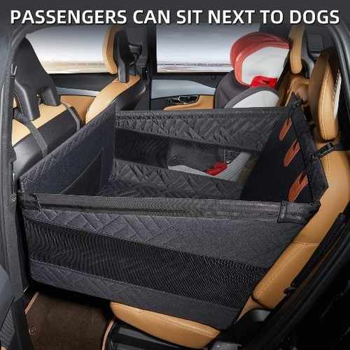 Hard bottom dog - dog, car