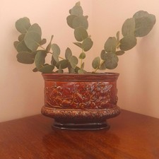 1960s  SylvaC Rhapsody narrow