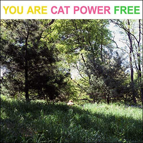 Cat power you are - cat, free