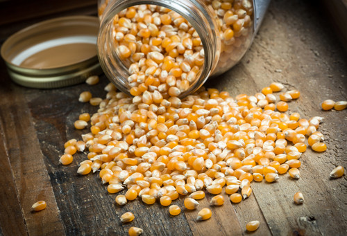 Popcorn kernels 1kg popping - kernels,
