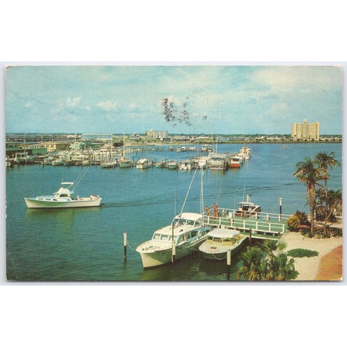 Postcard marina and yacht - postcard,