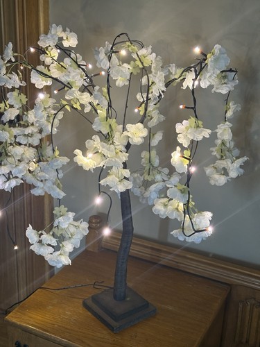 Blossom weeping tree - tree, light