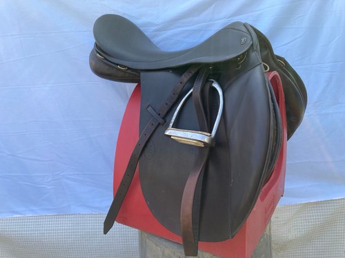 Stunning gfs brown - 19",