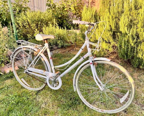 Raleigh vintage women - vintage, women's
