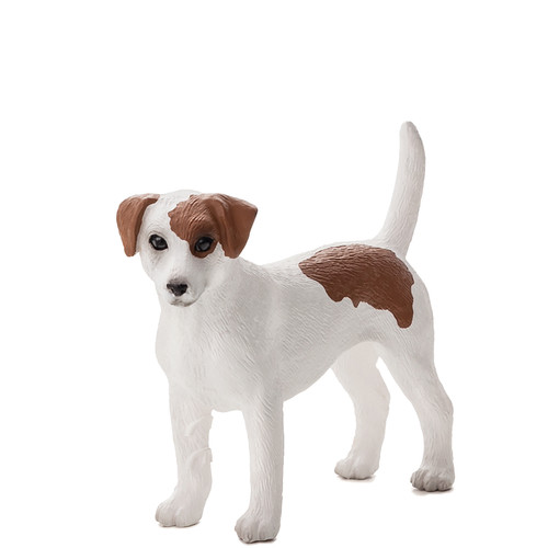 Realistic jack russell - realistic,