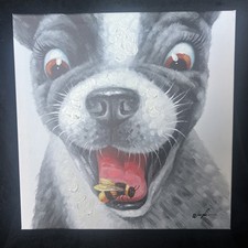 Boston Terrier Eating