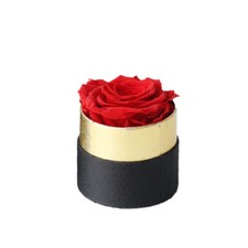 Eternal Real Flower Preserved Rose Valentines Anniversary Glass Dome Gift Box ∞