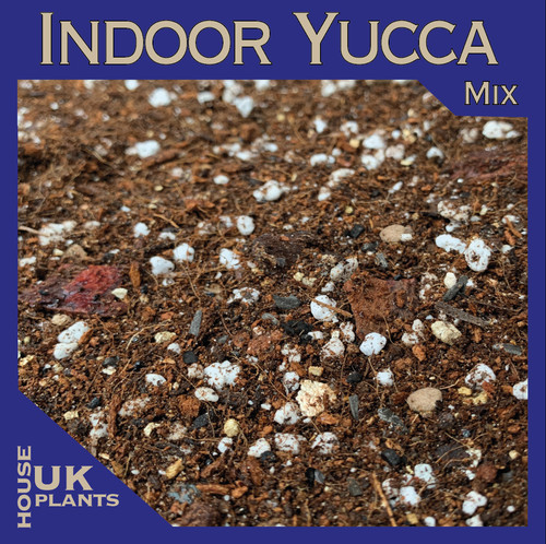 Yucca soil mix pest free - soil,
