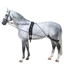 Horse Lunge Training System