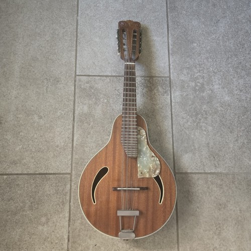 Vintage hofner model - hofner, cats