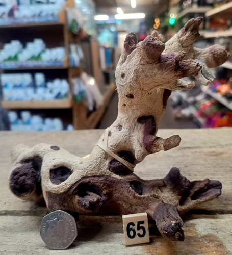 Small medium mopani wood - mopani,