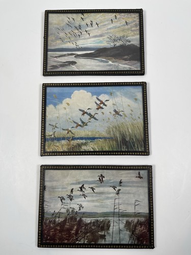 Peter scott set - peter, 3