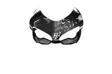 Carbon Front Fairing for
