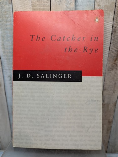 The catcher rye - catcher,