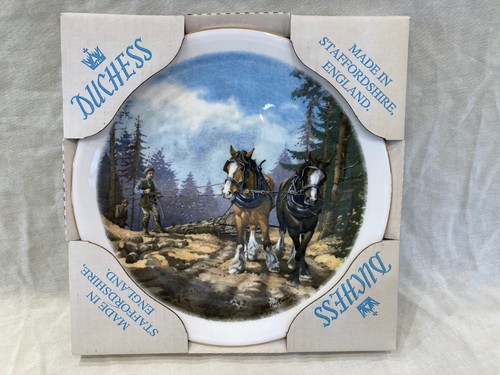 Shire horse decorative wall - horse,