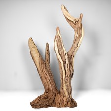 22.5" Manzanita Driftwood