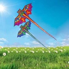 Dragon Kite Single Line Kites