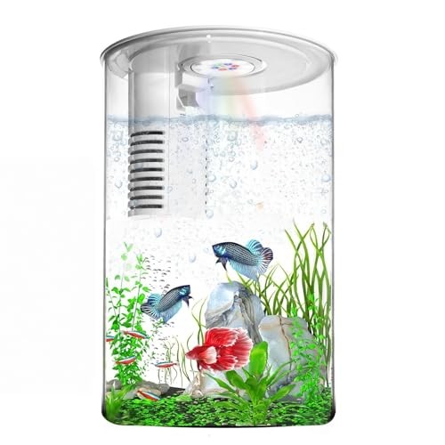 Desktop fish tank gallon - tank,