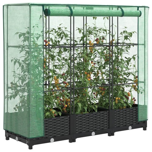 Raised garden bed with - garden,